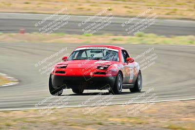 media/May-04-2025-Lucky Dog Racing (Sun) [[21629467aa]]/Turn 4 (10-1045am)/Turn 3/